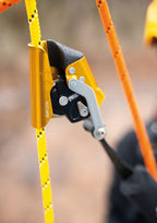 Petzl® ASAP® LOCK 2026