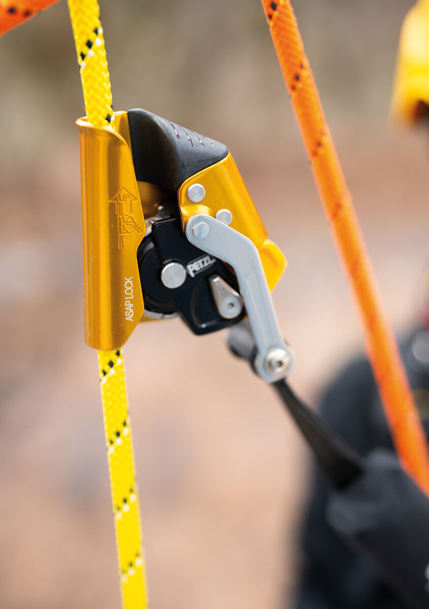 Petzl® ASAP® LOCK 2026