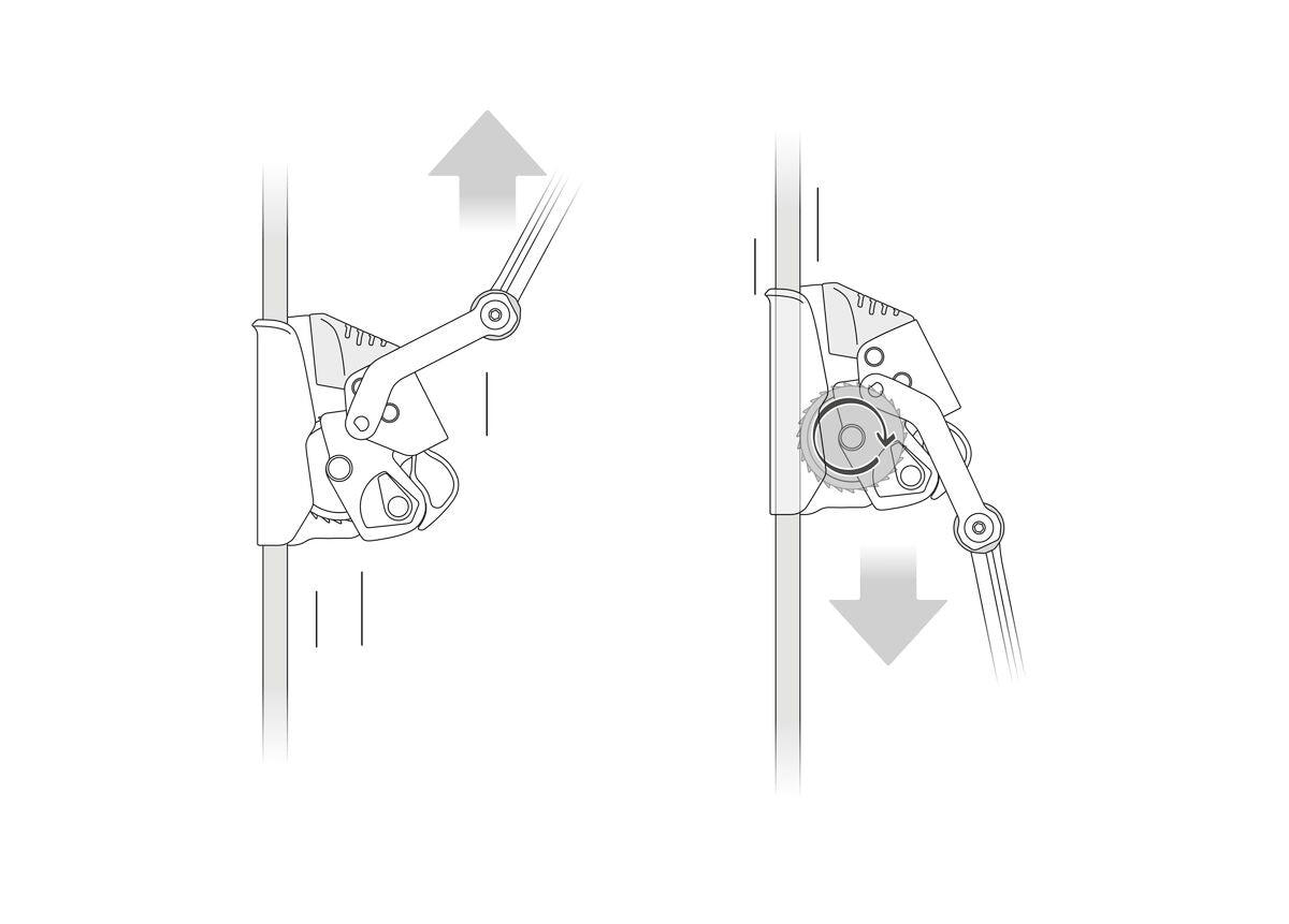 Petzl® ASAP® LOCK 2026