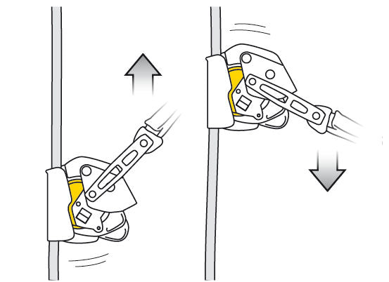 Petzl® ASAP® LOCK