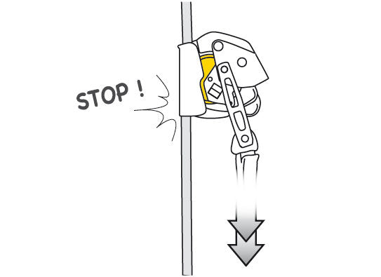 Petzl® ASAP® LOCK
